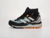 Кроссовки Adidas Terrex Skychaser Tech Mid Gtx серые мужские 18882-01