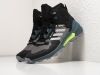 Кроссовки Adidas Terrex Swift R3 Mid черные мужские 15816-01