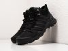 Ботинки Adidas Terrex Swift R2 черные мужские 15289-01