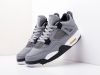 Кроссовки Nike Air Jordan 4 Retro серые мужские 7969-01