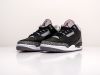 Кроссовки Nike Air Jordan 3 черные мужские 14550-01