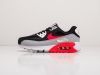 Кроссовки Nike Air Max 90 разноцветные мужские 7410-01