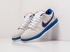 Кроссовки Nike SB Dunk Low серые мужские 11050-01