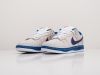 Кроссовки Nike SB Dunk Low серые мужские 11050-01