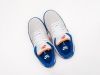 Кроссовки Nike SB Dunk Low серые мужские 11050-01