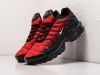 Кроссовки Nike Air Max Plus TN разноцветные мужские 19410-01