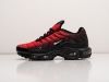 Кроссовки Nike Air Max Plus TN разноцветные мужские 19410-01