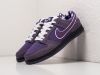 Кроссовки Nike SB Dunk Low фиолетовые мужские 14460-01