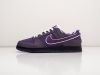 Кроссовки Nike SB Dunk Low фиолетовые мужские 14460-01