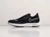 Кроссовки Nike ZoomX Streakfly черные мужские 15090-01