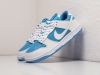 Кроссовки Nike SB Dunk Low разноцветные мужские 16380-01