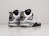 Кроссовки Nike Air Jordan 4 Retro серые мужские 10951-01