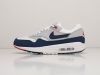 Кроссовки Nike Air Max 1 серые мужские 8871-01