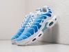 Кроссовки Nike Air Max Plus TN синие мужские 19412-01