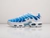 Кроссовки Nike Air Max Plus TN синие мужские 19412-01