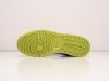 Кроссовки Nike SB Dunk Low разноцветные женские 16052-01