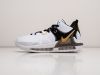 Кроссовки Nike Lebron Witness VII белые мужские 17312-01