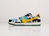 Кроссовки Ben & Jerry’s x Nike SB Dunk Low разноцветные мужские 8583-01