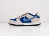 Кроссовки Nike SB Dunk Low разноцветные мужские 10293-01