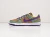 Кроссовки Nike SB Dunk Low разноцветные мужские 12913-01