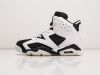 Кроссовки Nike Air Jordan 6 разноцветные мужские 11313-01