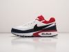 Кроссовки Nike Air Max BW Premium разноцветные мужские 14023-01