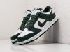 Кроссовки Nike SB Dunk Low зеленые мужские 14283-01