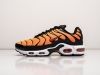 Кроссовки Nike Air Max Plus TN оранжевые мужские 19413-01