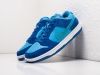 Кроссовки Nike SB Dunk Low голубые мужские 16043-01