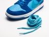 Кроссовки Nike SB Dunk Low голубые мужские 16043-01