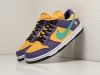 Кроссовки Nike SB Dunk Low разноцветные мужские 16383-01