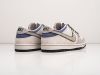 Кроссовки Nike SB Dunk Low белые мужские 16423-01