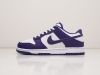 Кроссовки Nike SB Dunk Low фиолетовые мужские 13684-01