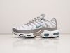 Кроссовки Nike Air Max Plus TN белые мужские 13704-01