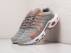 Кроссовки Nike Air Max Terrascape Plus серые мужские 14394-01