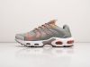 Кроссовки Nike Air Max Terrascape Plus серые мужские 14394-01