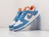 Кроссовки Nike SB Dunk Low разноцветные женские 14464-01