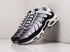 Кроссовки Nike Air Max Plus TN разноцветные мужские 19414-01