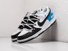 Кроссовки Nike SB Dunk Low x OFF-White разноцветные мужские 16514-01