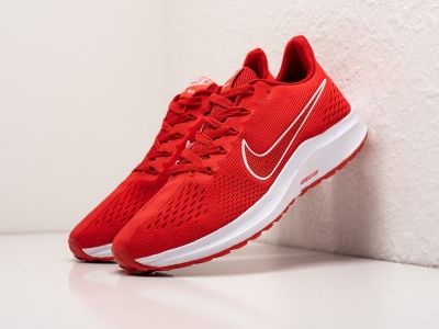 Кроссовки Nike Pegasus