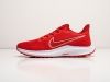 Кроссовки Nike Pegasus красные мужские 16574-01