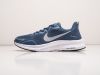 Кроссовки Nike Zoom синие мужские 17074-01