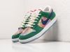 Кроссовки Nike SB Dunk Low разноцветные мужские 18134-01