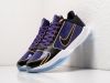 Кроссовки Nike Kobe 5 Protro разноцветные мужские 15055-01