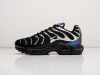 Кроссовки Nike Air Max Plus TN черные мужские 19415-01