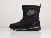 Зимние Сапоги Nike черные женские 15245-01