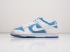 Кроссовки Nike SB Dunk Low голубые мужские 16045-01