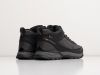 Зимние Ботинки Nike черные мужские 18275-01