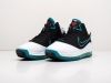 Кроссовки Nike Lebron 7 разноцветные мужские 13366-01