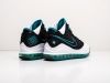 Кроссовки Nike Lebron 7 разноцветные мужские 13366-01